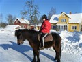 2010_02080001.JPG