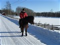 2010_02080012.JPG