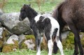 2010_05060010.JPG
