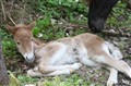 2012_05080003.JPG