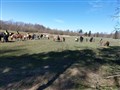 20200418_114125.jpg