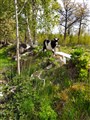 20200517_093353.jpg