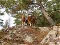 20201020_131555.jpg