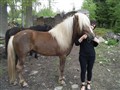 Elli och Leiknir. 2010.JPG