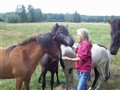 Elli och unghingstarna 2006.jpg