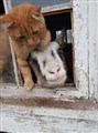 FB_IMG_1548749992849.jpg