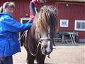 GRANNI_OCH_I_M_040404.JPG