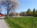 Gården 060515.jpg