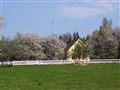 HUSET_040510.JPG