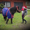 IMG_20201221_211004_645_646.jpg