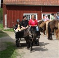 Knatteutflykt. Penny drar vagnen. 2010 05 23.JPG