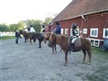 Ridläger 2009.JPG