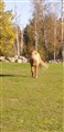 Screenshot_20190129-125157_Gallery_1.jpg