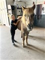 albin och patron logen.jpeg