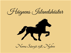 Hägnens Islandshästar & Ridlekis